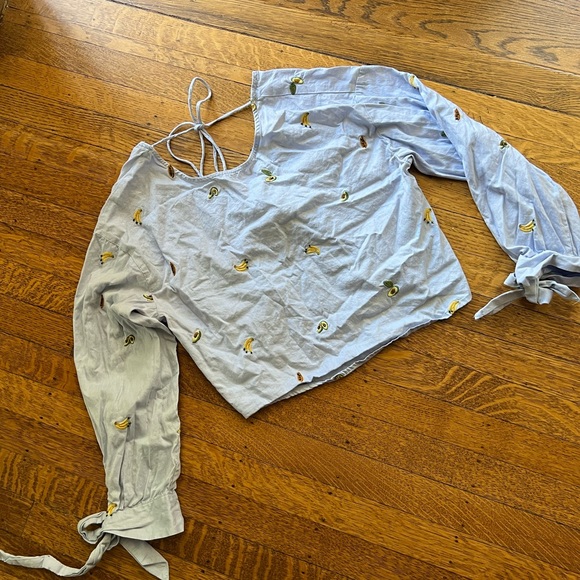 Zara Tops Zara Embroidered Fruit Chambray Top Poshmark